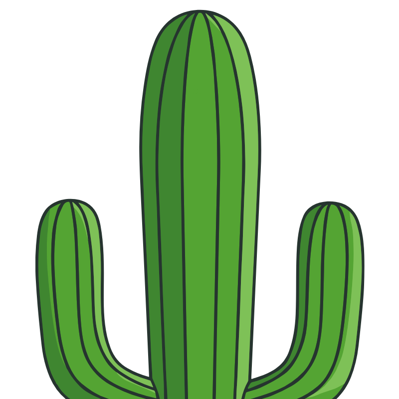 KaktüsAI sonra